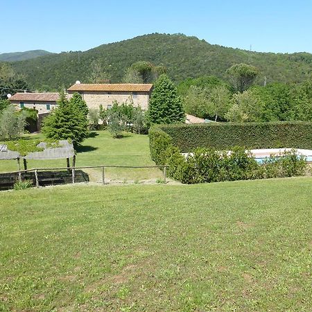 Agriturismo Le Colline Montescudaio Quarto foto